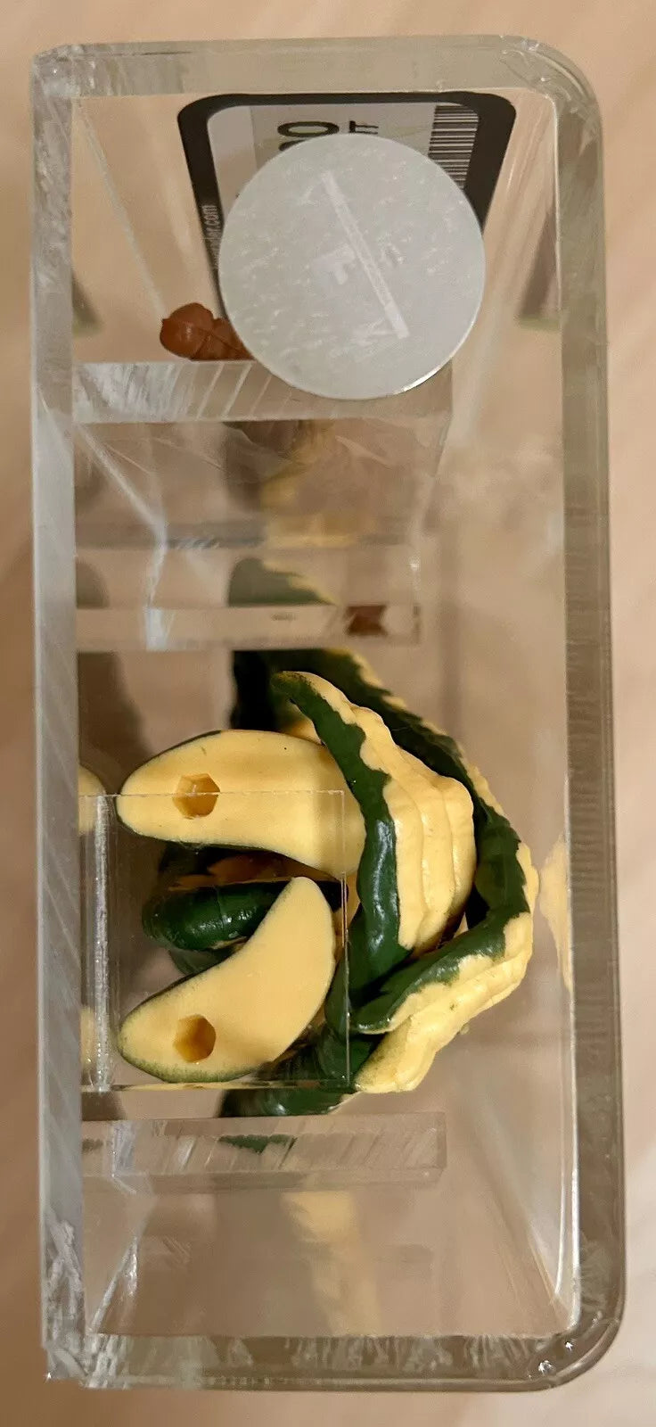 Star Wars Vintage Kenner Figur Amanaman AFA U90 NM+/MT (AFA Gold) (1985) - poptoy